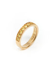 Aurora Alliance Ring
