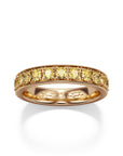 Aurora Alliance Ring